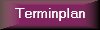 Terminplan